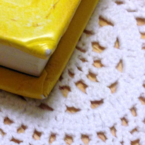 Diary of a Wimpy Kid, Dog Days, Middle Grade Level - Picture 5 of 6